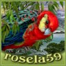 rosela59