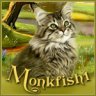 Monkfish1