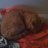 -Garfield50-