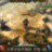 -MMORPGPRO-