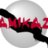 Kamikaze256