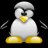 LinuxGamer