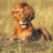 _Maxe2012_