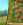 HansDampf.PNG