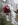 aaaa.gif