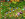 Screenshot_17.png