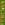 Loginbonus1.png