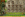 upload_2018-7-21_11-56-26.png