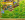 upload_2019-3-4_9-29-57.png