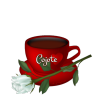 tassecojotegpg1.png