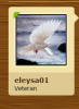 veteran.PNG