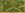 upload_2019-6-22_10-24-1.png