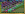 upload_2020-1-11_7-7-10.png