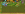 upload_2020-3-6_9-37-26.png