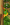 upload_2020-8-31_11-54-51.png
