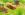 upload_2023-6-11_16-32-38.png