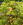 upload_2024-4-20_19-11-17.png