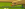 upload_2025-7-28_19-30-39.png