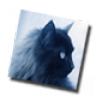 Rumtreiber