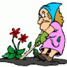 *HOBBYFARMER*