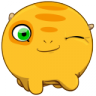 rainitas