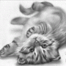Kitty-Clay
