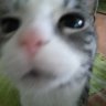 _Melisande_