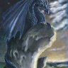 DragonsBabe