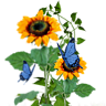 -blümchen-