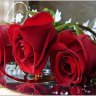 emrah00
