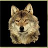 Guardian.Wolf