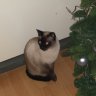 Wim280249