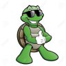 Turtlemagia1