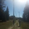 lukisfarm17