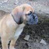 ~Lucy2902~