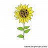 gitta5959