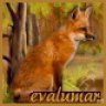 evalumar