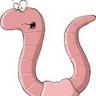 xxxRegenwurmxxx