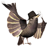 luigimpel