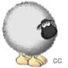 asaf75