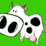 CountryCow