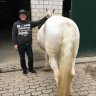 blattlaus07