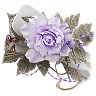 little-rose