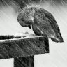 Hurricane064