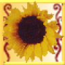 sunny146