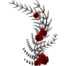 Pu-Muckel