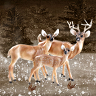 Winteranfang