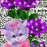 RoTKaePPI