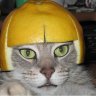 adrianofdr