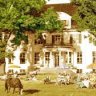 **Immenhof**